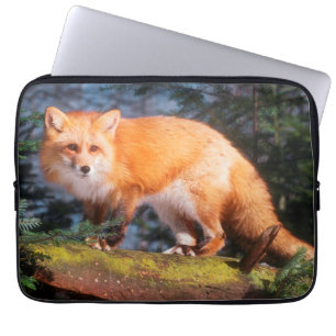 Funda Para Portátil Zorro Rojo en un tronco