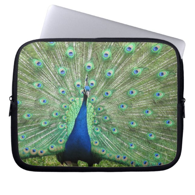Funda para portátiles - Peacock (Frente)