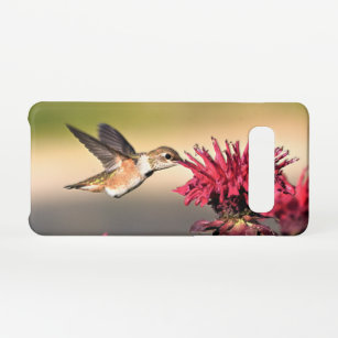 Funda Para Samsung Galaxy S10 Alimentador de flores de colibrí