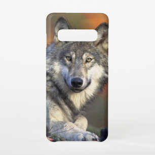 Funda Para Samsung Galaxy S10 Asombroso retrato de lobo