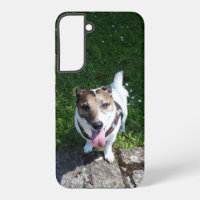Capo von Oppenheim, Jack Russell Terrier Dog