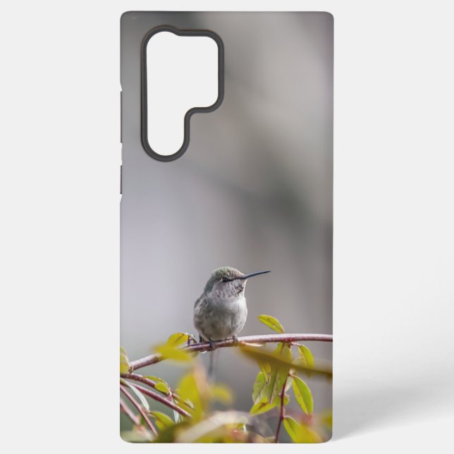 Funda Para Samsung Galaxy Colibrí 3346 (Reverso )