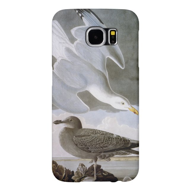 Funda Para Samsung Galaxy De Case-Mate Audubon: Gaviota de arenques (Atrás)
