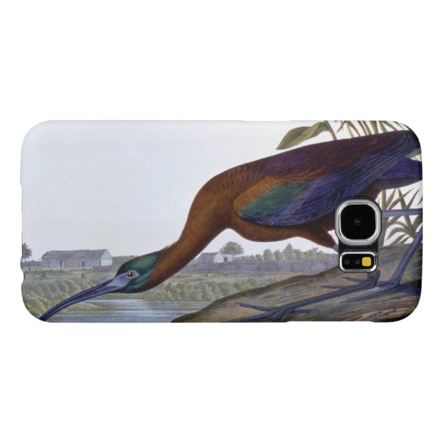 Funda Para Samsung Galaxy De Case-Mate Audubon: Ibis brillante (Reverso Horizontal)