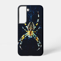 Espectáculo de araña de jardín europeo