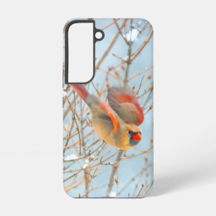 Funda Para Samsung Galaxy S22 Fotografía original del cardenal norteño volando