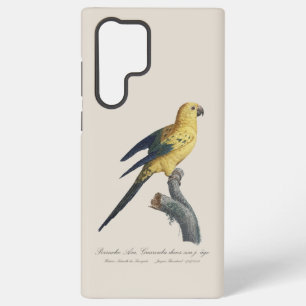 Funda Para Samsung Galaxy S22 Ultra Guarouba dans hijos jeune age / Sun parakeet