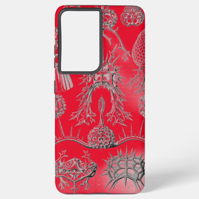 Funda Para Samsung Galaxy Haeckel Antiguo (Reverso )