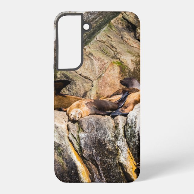 Funda Para Samsung Galaxy Leones Marinos Sobre Las Rocas (Reverso )