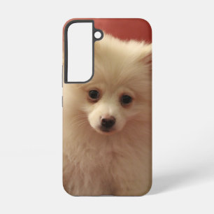 Funda Para Samsung Galaxy S22 Lindo perro pomerania