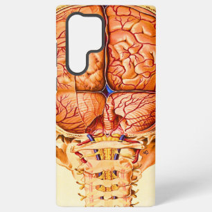 Funda Para Samsung Galaxy S22 Ultra Litografía De Base Cerebral Y Meninges