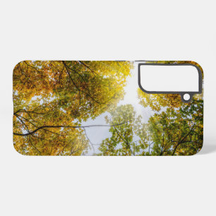 Funda Para Samsung Galaxy S22+ Luz del sol a través del Funda de Maples azucarera