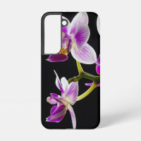 Orquídea blanca y púrpura