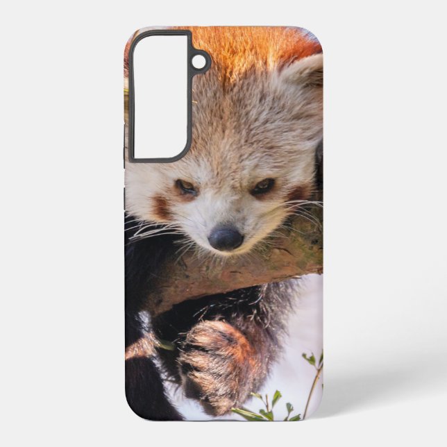 Funda Para Samsung Galaxy Panda rojiza perezosa (Reverso )