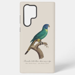 Funda Para Samsung Galaxy S22 Ultra Perruche a tete bleue / Lorikeet arcoiris, juvenil