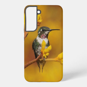 Funda Para Samsung Galaxy S22+ Resplandor Dorado