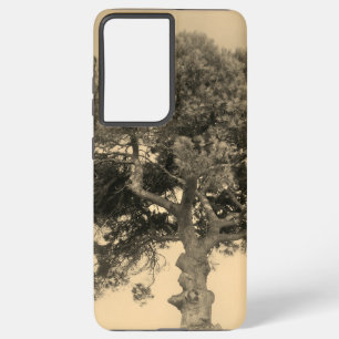 FUNDA PARA SAMSUNG GALAXY S21 ULTRA SAMSUNG GALAXY S21 ULTRA FUNDA GUAY ECO