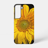 Sgcnm de girasol