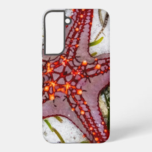 Funda Para Samsung Galaxy S22+ Starfish, Zanzíbar, Tanzania