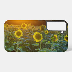 Funda Para Samsung Galaxy S22+ Sunset At Sunflower Field Samsung Galaxy Funda