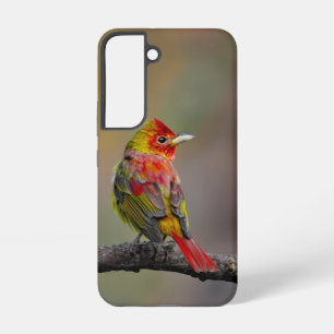 Funda Para Samsung Galaxy S22 Tángara Escarlata Mudando - Fotografía Original