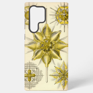 Funda Para Samsung Galaxy S22 Ultra Vintage Ernst Haeckel