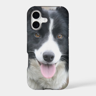 Funda para teléfono Border Collie