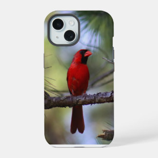 Funda para teléfono del cardenal del norte