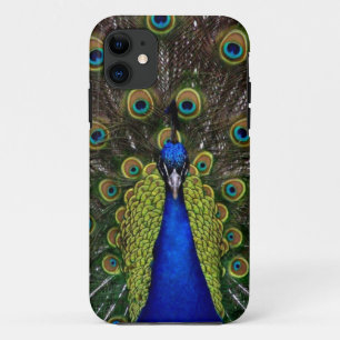 Funda Peacock iPhone5