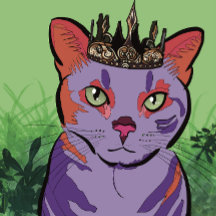 Funda portátil de Purple Prince