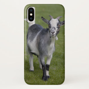 Funda Pygmy Goat iPhone X