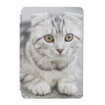  Funda Smart Cover para iPad 7.9"