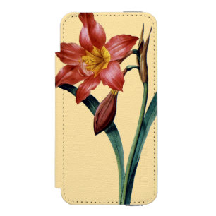 Funda Cartera Para iPhone 5 Watson Amaryllis