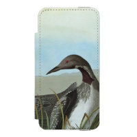 Audubon: Bribón ártico