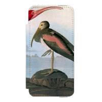 Audubon: Escarlata Ibis