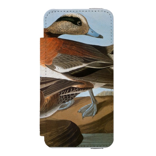 Funda Tipo Cartera Para iPhone De Incipio Audubon: Wigeon (Anverso)