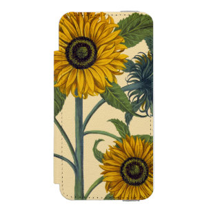 Funda Cartera Para iPhone 5 Watson Besler: Girasol