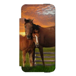 Funda Cartera Para iPhone 5 Watson Caballo y pony