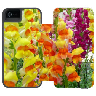 Funda Cartera Para iPhone 5 Watson Floral colorida de Snapdragons