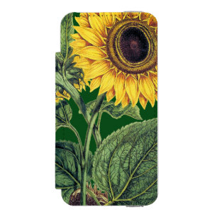 Funda Cartera Para iPhone 5 Watson Miller: Girasol