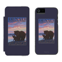 Oso y Cub - parque nacional de Denali, Alaska