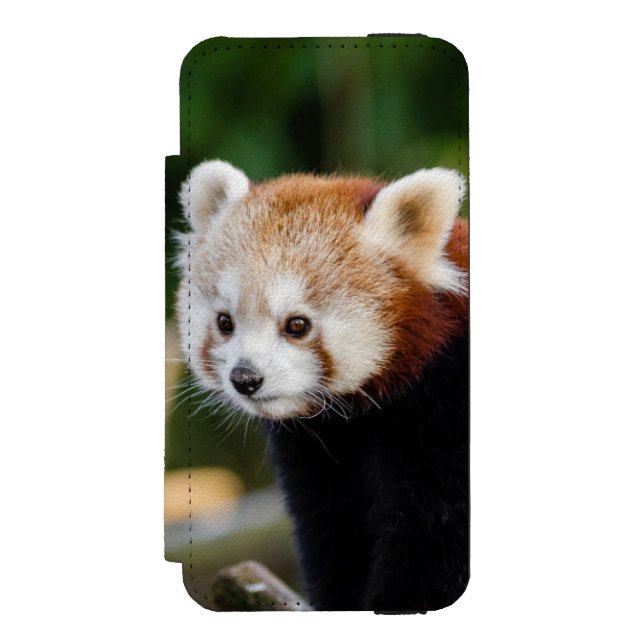 Funda Tipo Cartera Para iPhone De Incipio Panda Rojo Sentado En El Nevado Log (Anverso)