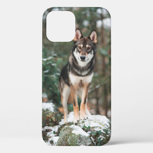 Funda Wolfdog iPhone 12 (Reverso )