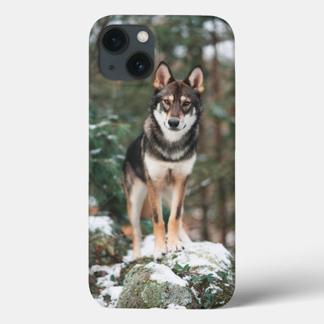 Funda Wolfdog iPhone 13 (Reverso)