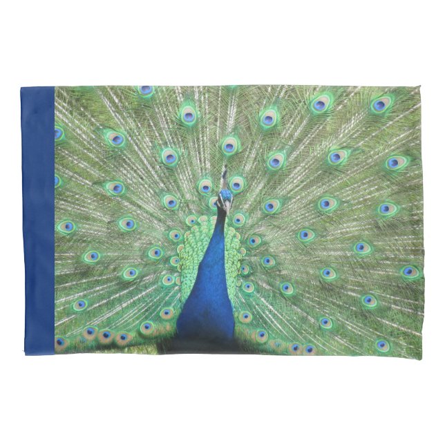 Fundas de almohada - Orgulloso Peacock (Anverso)