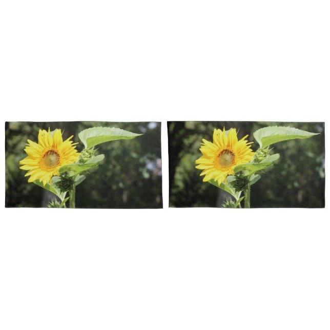Fundas del girasol (Reverso-Set)