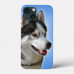 Fundas Husky iPhone 6 fundas Siberian Husky Malamu