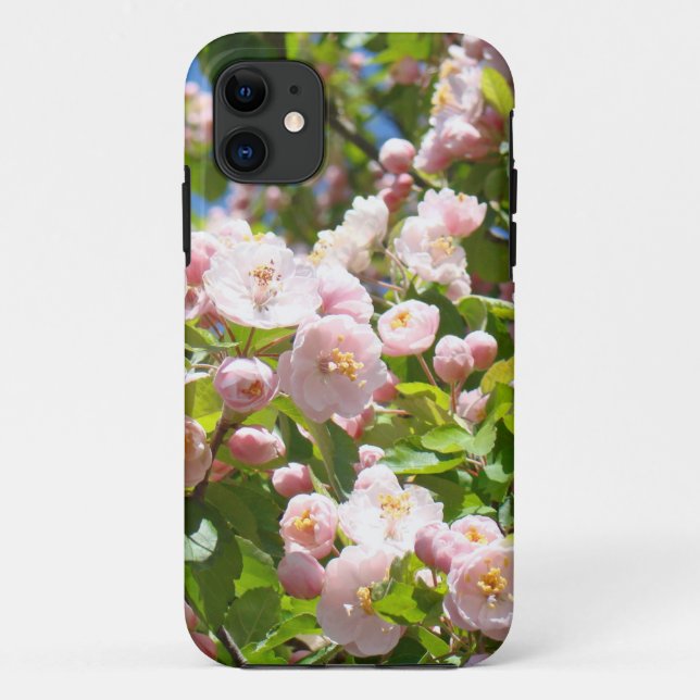 Fundas para iPhone 5 Flores rosadas de primavera p (Reverso)