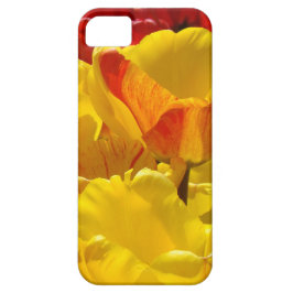 Fundas para iPhone 5 regalos Tulipanes Amarillos R
