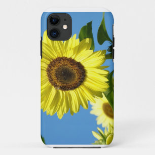 Fundas para iPHONE 5 Sunflower Amarillo Flores del